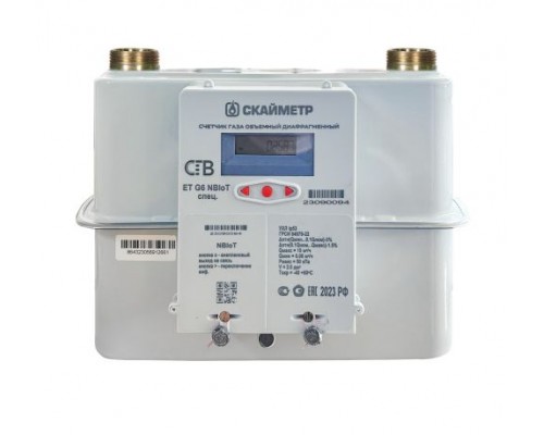 Счетчик газа СГВ-ЕТ-G6,0-LR-NBIoT (1 1/4"-250) спец Счетчик газа СГВ-ЕТ-G6,0-LR-NBIoT (1 1/4"-250) спец